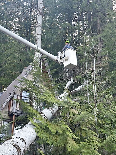 Tree service & land clearing serving Plummer, ID