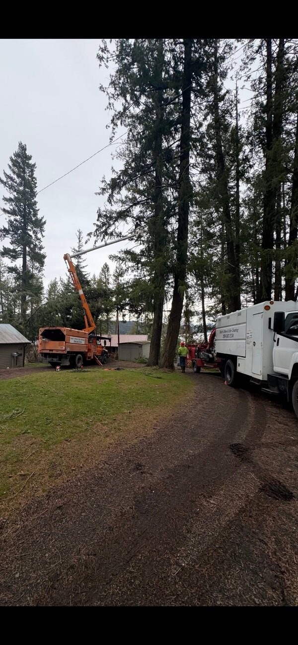 Andy's Arbor truck and crane on the job