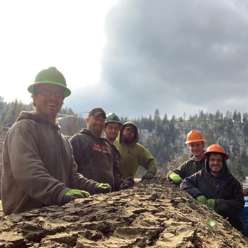 Tree service & land clearing serving Plummer, ID