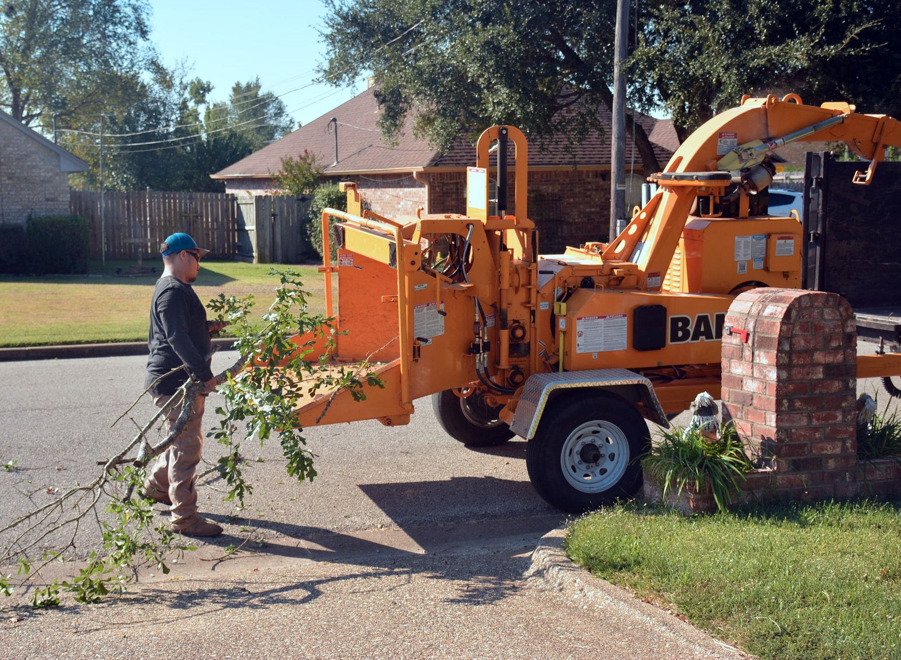 Chipping & Firewood