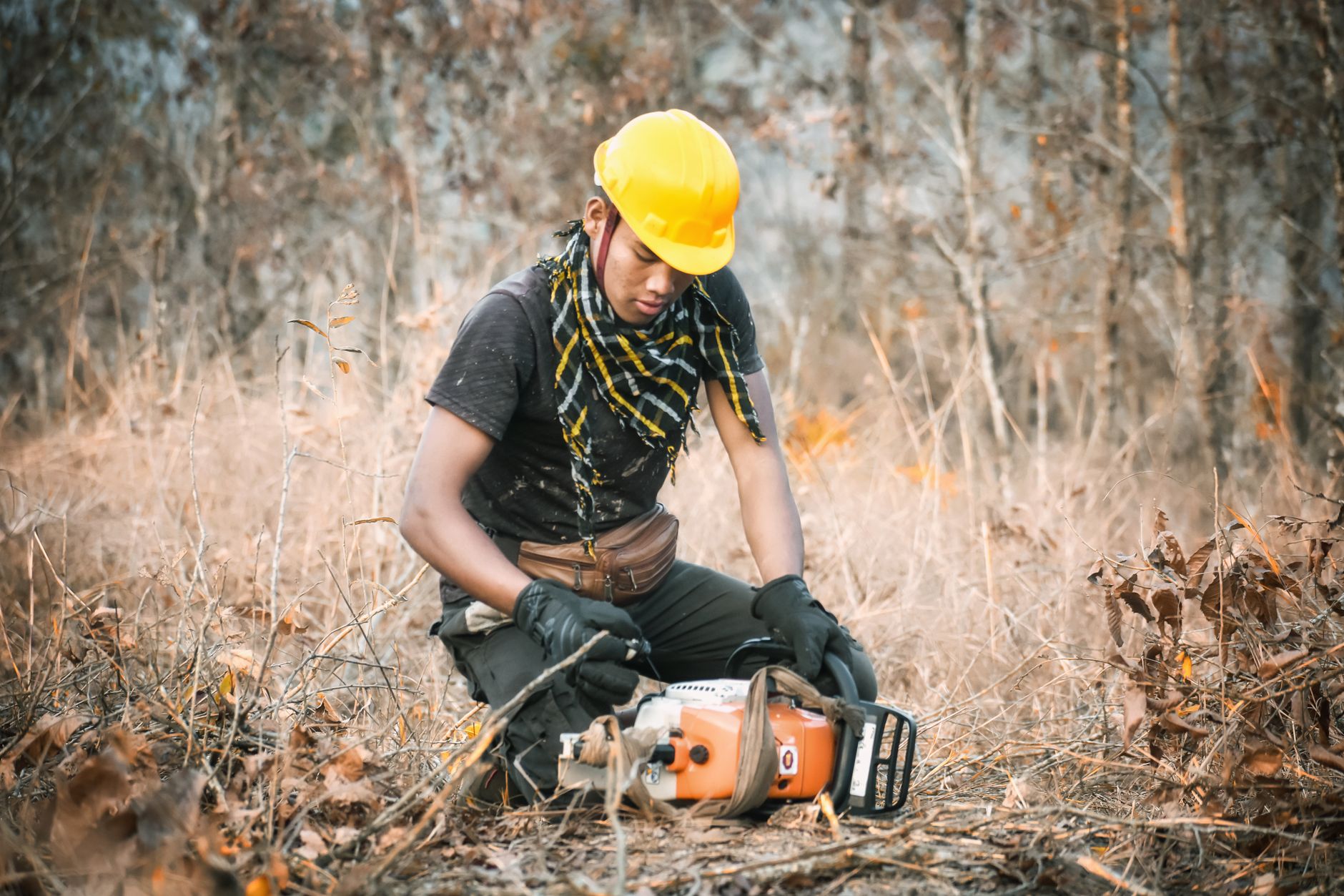 Wildfire Fire Mitigation